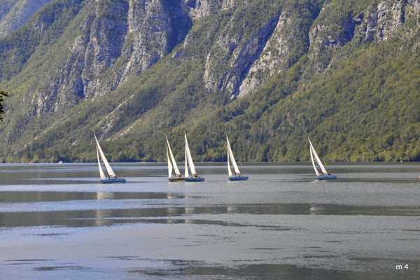 M12 klubska regata 2025